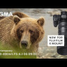 Объектив Sigma AF 100-400mm F/5-6.3 DG DN OS Contemporary L-mount