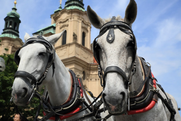 Объектив Tamron AF SP 24-70mm f/2.8 DI VC USD G2 (A032) Nikon F