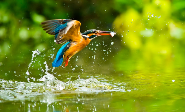 Фотоаппарат цифровой Panasonic Lumix DMC-FZ300