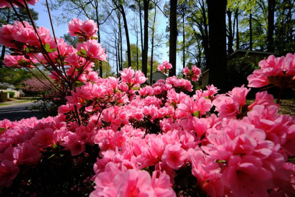 Объектив Fujinon XF 10-24mm f/4 R OIS