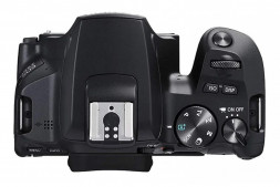 Фотоаппарат зеркальный Canon EOS 250D Kit 18-55  III DC  в Москве