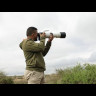 Объектив Canon RF 200-800mm f/6.3-9 IS USM