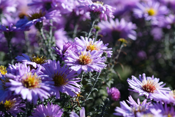 Фотоаппарат беззеркальный Fujifilm X-T3 Kit