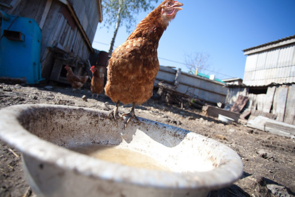 Объектив Canon EF 17-40 f/4L USM