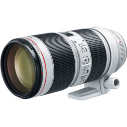 Объектив Canon EF 70-200mm f/2.8L IS III USM в Москве
