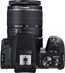 Фотоаппарат зеркальный Canon EOS 250D Kit 18-55 IS STM в Москве
