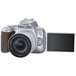 Фотоаппарат зеркальный Canon EOS 250D Kit 18-55 IS STM в Москве