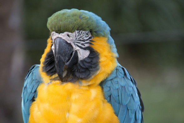 Объектив Tamron 16-300mm f/3.5-6.3 Di II VC PZD Canon EF-S