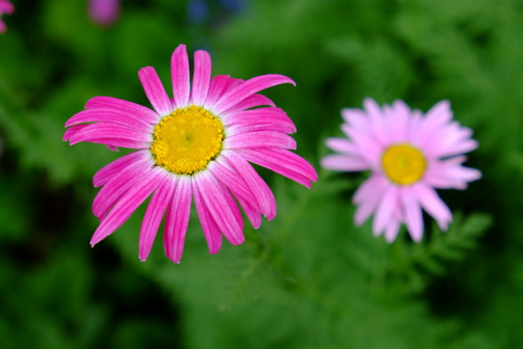 Объектив Fujifilm XF 18-55mm F2.8-4 R LM OIS