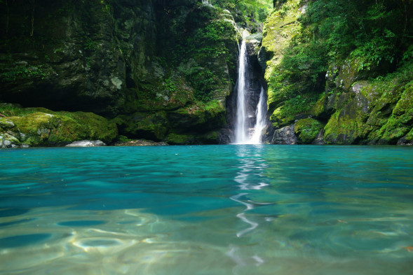 Объектив Sony Carl Zeiss Vario-Tessar T* 24-70mm f/4 ZA OSS (SEL-2470Z)