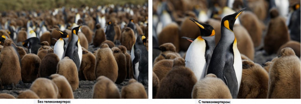 Телеконвертер Sony 2.0х SEL-20TC