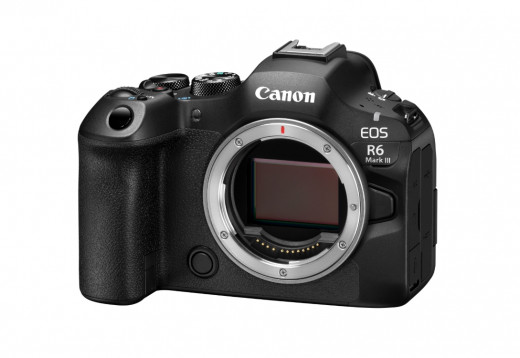 Фотоаппарат беззеркальный Canon EOS R6 Mark III Body &mdash; 