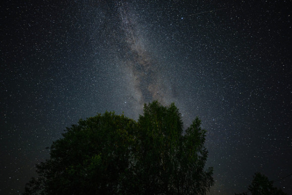 Объектив Sony FE 20mm f/1.8 G (SEL20F18G)