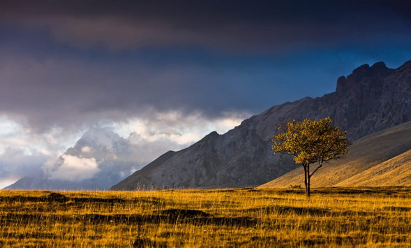 Объектив Canon RF 70-200mm f/4L IS USM