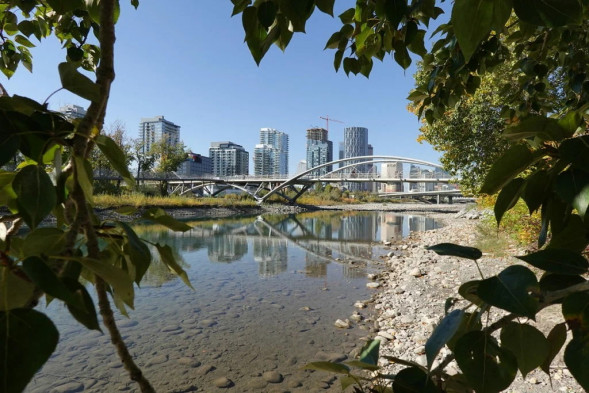 Камера для блогинга Sony ZV-1F, черный