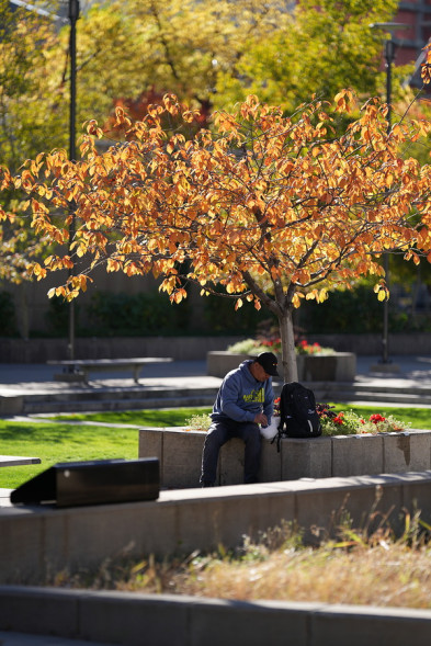 Фотоаппарат беззеркальный Sony Alpha ILCE-7RM5 body