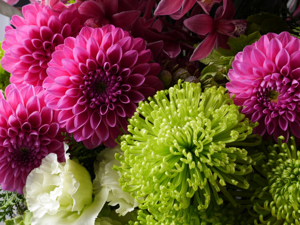 Объектив Panasonic Lumix G X Vario 12-35mm f/2.8 Asph Power OIS