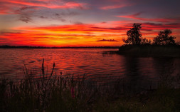 Фотоаппарат зеркальный Canon EOS 6D Body в Москве