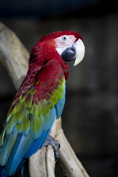 Объектив Tamron A056 70-180mm Di III VXD F/2.8 Sony E