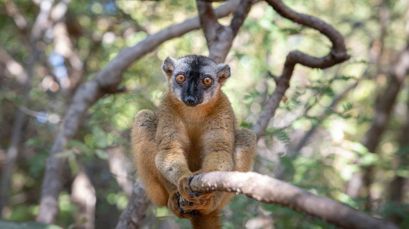 Объектив Canon RF 24-70mm F2.8L IS USM