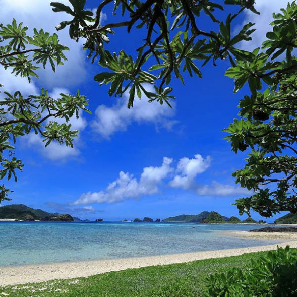 Объектив Canon RF 16mm f/2.8 STM