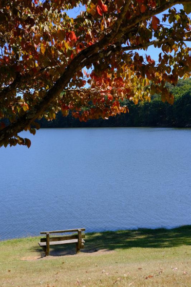 Фотоаппарат беззеркальный Fujifilm X-T30 II Kit XC15-45mm OIS PZ