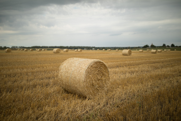 Объектив Canon EF 35mm f/1.4L II USM