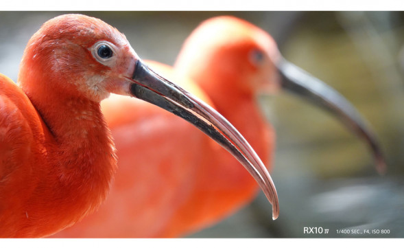 Фотоаппарат цифровой Sony Cyber-shot DSC-RX10M4