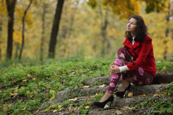 Фотоаппарат зеркальный Canon EOS 5D Mark IV Kit EF 24-105mm 1:4 L IS II USM