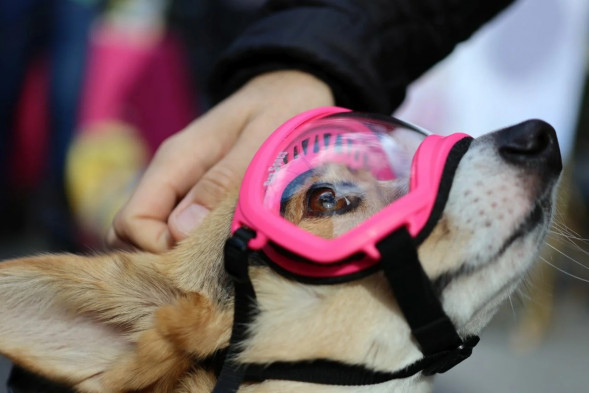 Фотоаппарат беззеркальный Canon EOS M6 Mark II Kit EF-M 15-45mm F/3.5-6.3 IS STM