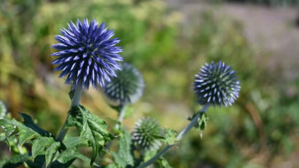 Фотоаппарат беззеркальный Nikon Z fc Kit 28mm Silver