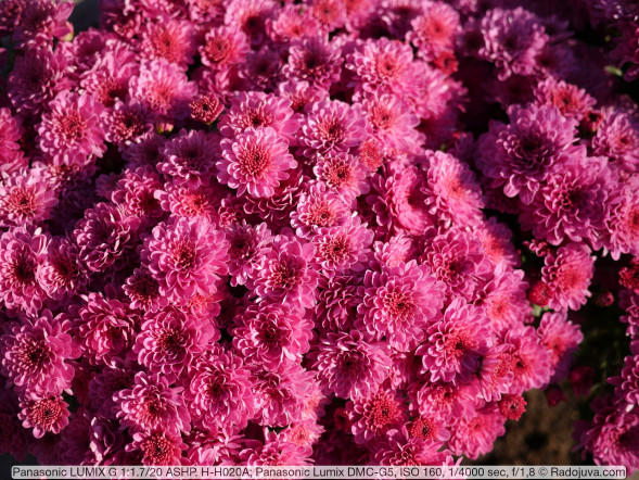 Объектив Panasonic 20mm f/1.7 II Aspherical (H-H020AE)