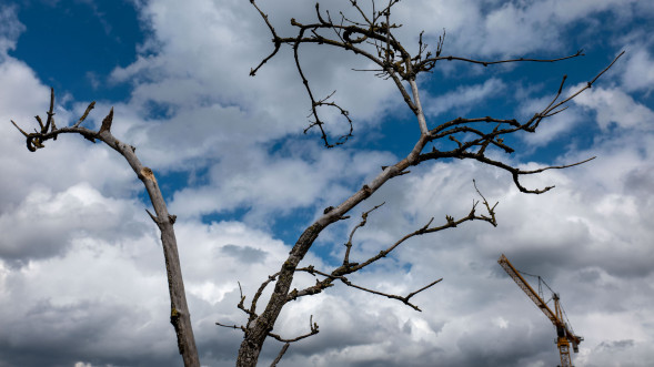 Объектив Panasonic Lumix S 20-60mm f/3.5-5.6 (S-R2060E)