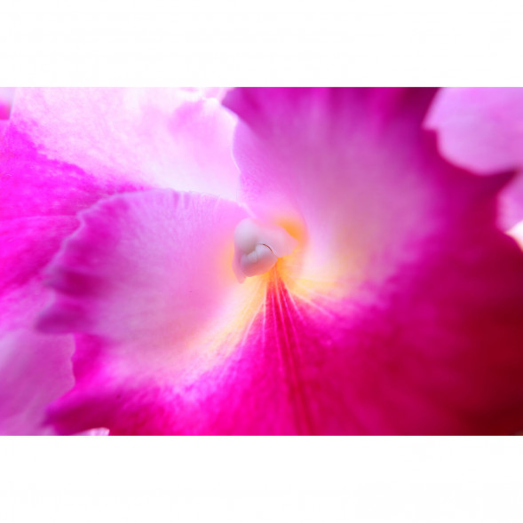 Объектив Canon RF 15-30mm f/4.5-6.3 IS STM