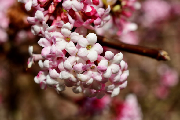 Фотоаппарат зеркальный Nikon D3400 Body