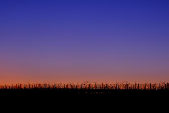 Фотоаппарат беззеркальный Fujifilm X-T30 Body