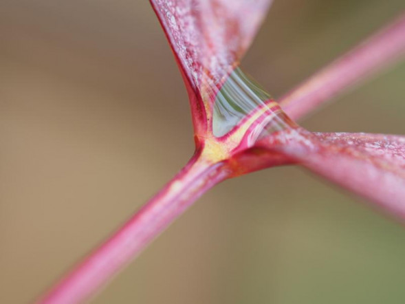 Фотоаппарат беззеркальный Olympus OM-D E-M5 Mark III Kit M.ZUIKO Digital ED 12-45mm f/4.0 PRO Черный