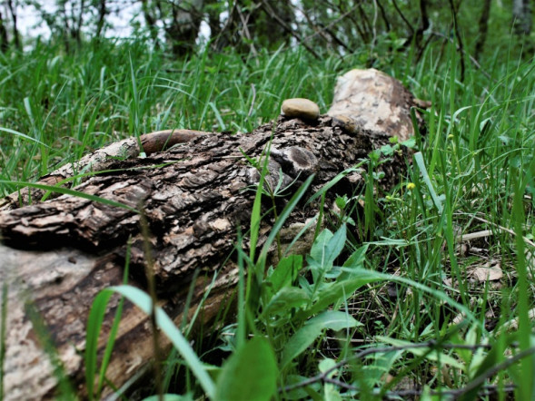 Видеокамера Sony PMW-400K