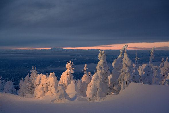 Объектив Nikon 24-70mm f/2.8S Nikkor Z