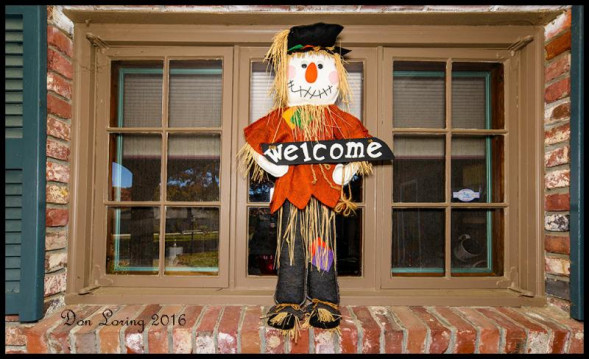 Объектив Sigma 12-24mm f/4 DG HSM Art Canon EF