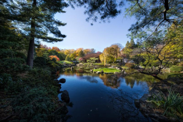 Объектив Sigma 12-24mm f/4 DG HSM Art Nikon F