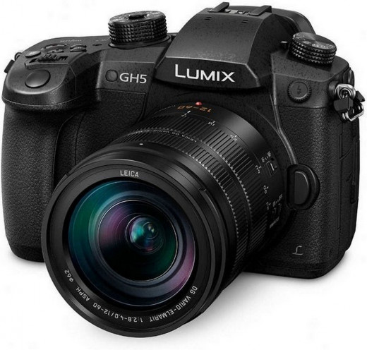 Фотоаппарат беззеркальный Panasonic Lumix GH5 Kit  — 