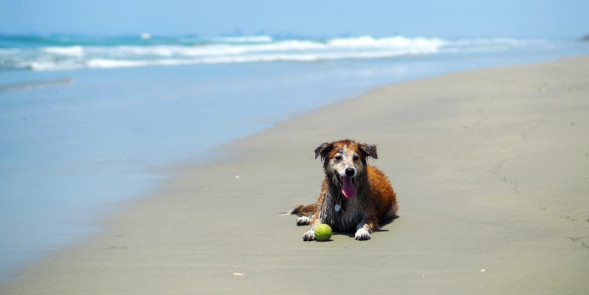 Объектив Panasonic 42.5mm f/1.7 G Aspherical Power O.I.S. (H-HS043E)