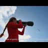 Объектив Nikon NIKKOR Z 800mm f/6.3 VR S