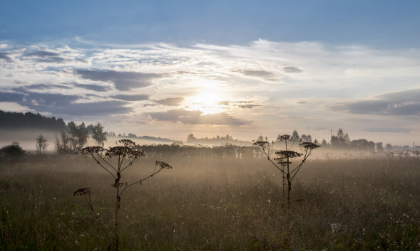 Объектив Fujifilm XF 23mm f/1.4 R