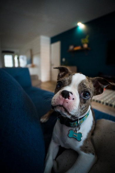 Объектив Sony E 11mm f/1.8 (SEL11F18)