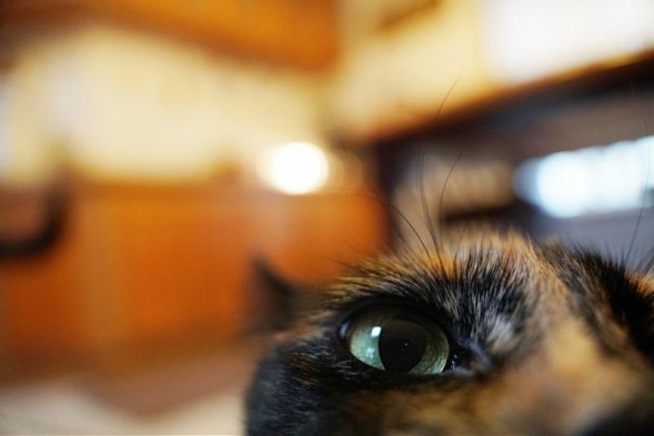 Объектив Tamron 17-70mm F2.8 Di III-A VC RXD Fujifilm