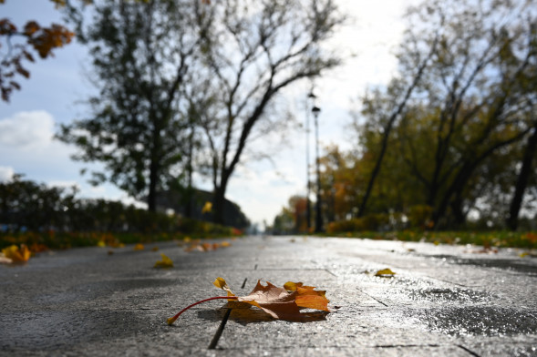 Объектив Nikon 28mm f/2.8 Nikkor Z