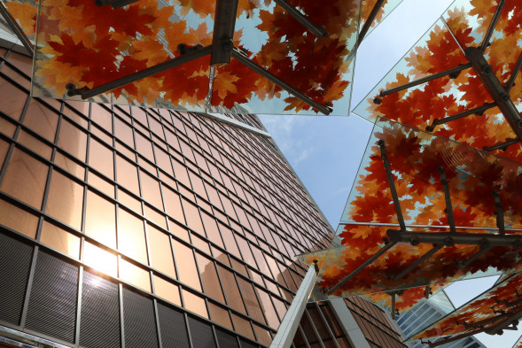 Фотоаппарат зеркальный Canon EOS 80D Body