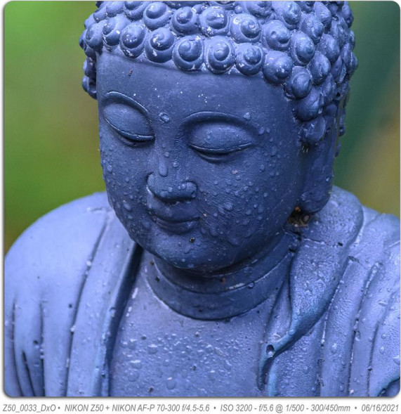 Фотоаппарат беззеркальный Nikon Z50 body + FTZ адаптер